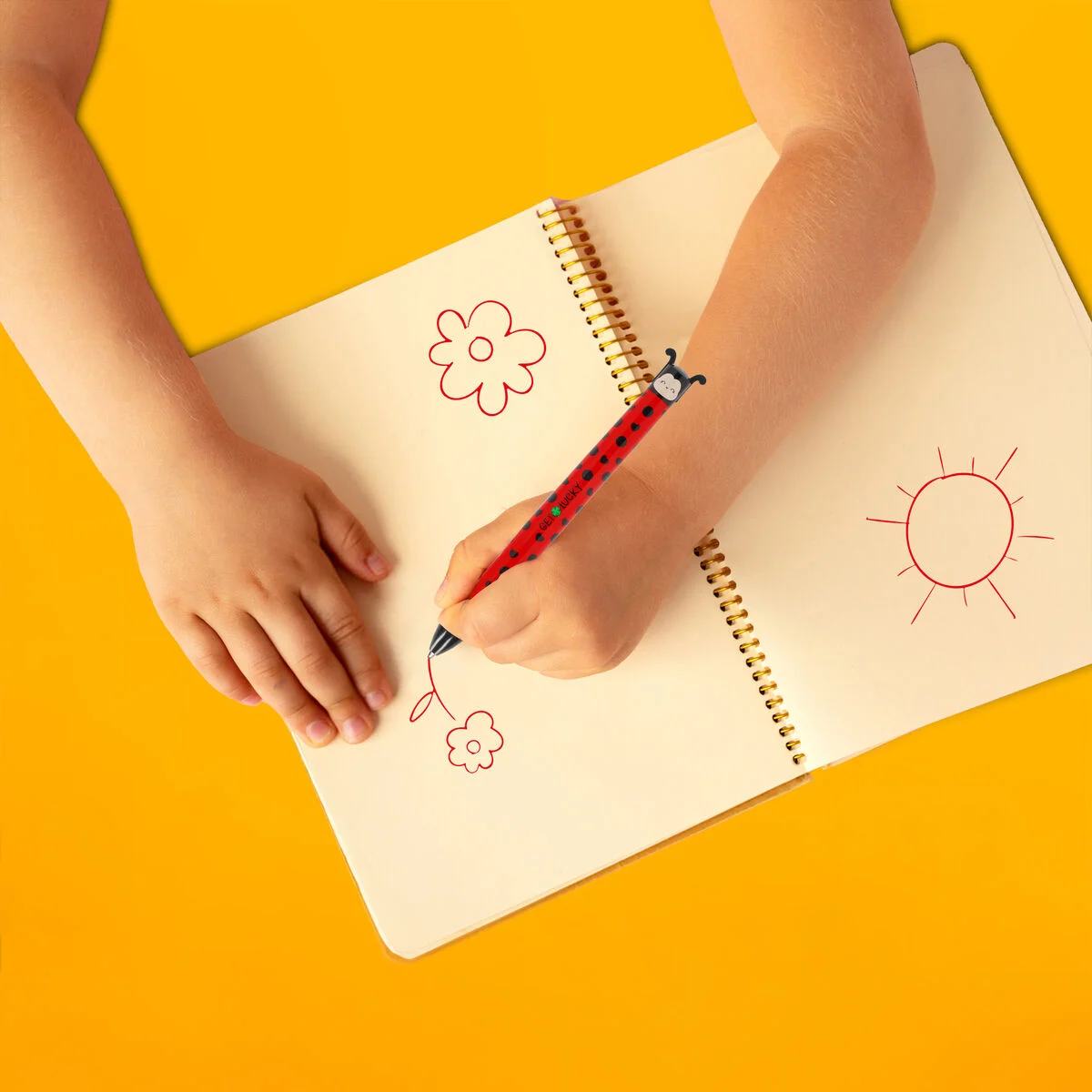 Penna a Sfera Due Colori Ladybug – Click&Clack2
